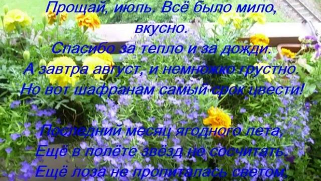 Поэзия Ларисы Курносенко смотреть онлайн