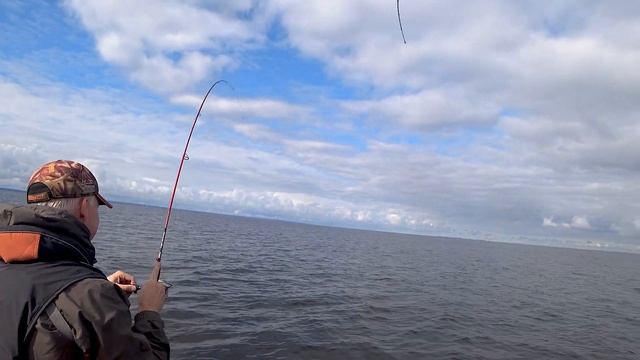 Осенний джиг, судак, окунь и ЛЕЩ. смотреть онлайн