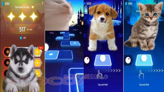 CUTE CATS vs CUTE Dogs WAKA WAKA - BLOODY MARY Tiles Hop EDM Rush смотреть онлайн