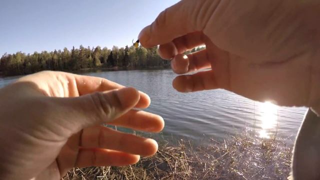 Ловля на летнюю мормышку с боковым кивком Новые горизонты смотреть онлайн