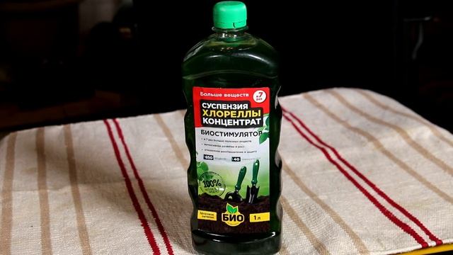 КАК ПРАВИЛЬНО ОБРАБОТАТЬ СЕМЕНА ПЕРЕД ПОСЕВОМ! РАССАДА 2021! смотреть онлайн