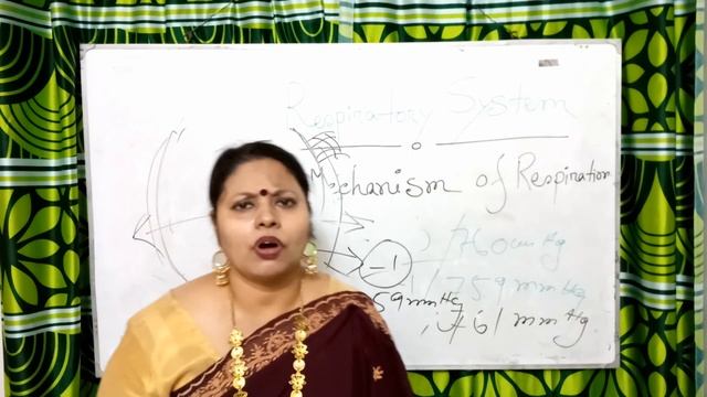 রেসপিরেটরি সিস্টেমঃ রেসপিরেশন এবং ভেন্টিলেশন। смотреть онлайн