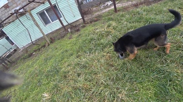 На юге пахнет весной, появились комары смотреть онлайн
