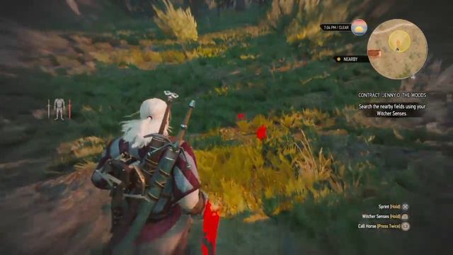 The Witcher 3 Wild Hunt| NEW GAME + NONSENSE #1 смотреть онлайн