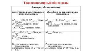 Физиология кровообращения. Часть 2.2024-08-12-09-52-38