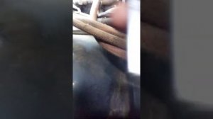 Регулировка рулевого редуктора на ниве