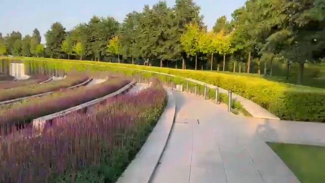 Изменения на канале и не только... смотреть онлайн