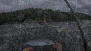 РЫБАЛКА НА ГОРБУШУ. Север.