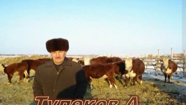 Село Береговое клип смотреть онлайн
