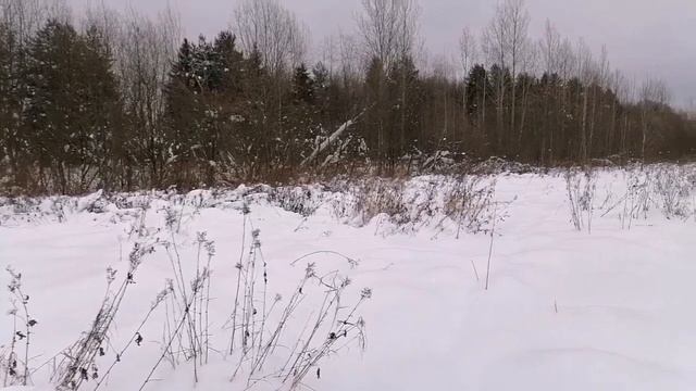 Охота на бобра 2022г. Есть Бобрик! смотреть онлайн
