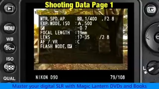 Nikon D90 - Advanced Playback Displays смотреть онлайн