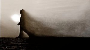 Один не разберет чем пахнут розы ...