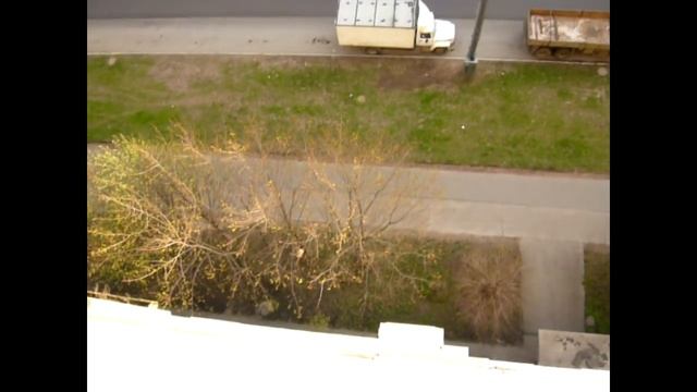 Собака прыгает с девятого этажа смотреть онлайн