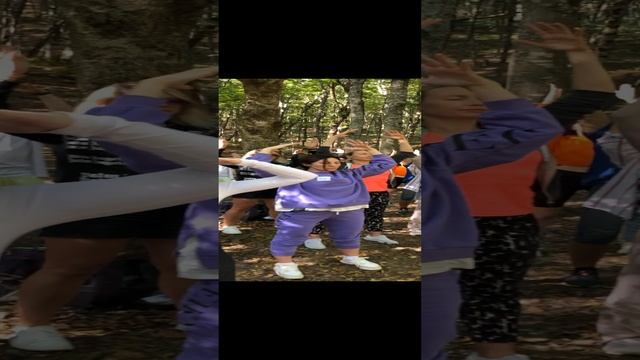 Цигун в лесу смотреть онлайн