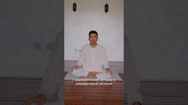 Сат Крийя - медитация для нижних чакр #meditation #yoga #рекомендации #медитации #йоганачинаемснул смотреть онлайн