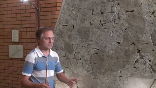 Отпечатки вендских животных с Белого моря (560 млн лет) смотреть онлайн