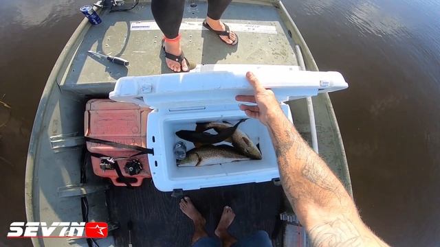 Taking a KAYAKER GOLDEN REDS - PAC KAYAK смотреть онлайн