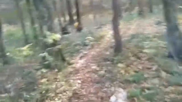 Телевизор Зеленоградский!=) смотреть онлайн