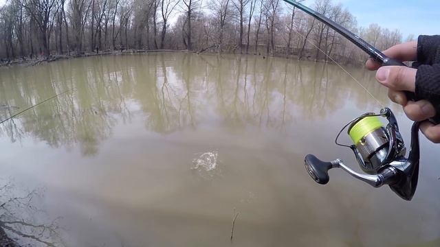 Ловля СУДАКА весной в МУТНОЙ воде. Рыбалка весной на Малой реке [Sibiryak007]