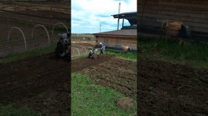 Борона конная на мотоблоке.