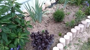 Делаем "ленивую"клумбу