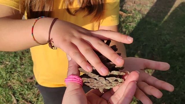 Курортный город БИБИОНЕ ИТАЛИЯ осенью | влог | Рыбалка | Как убирают пляж после летнего сезона смотреть онлайн