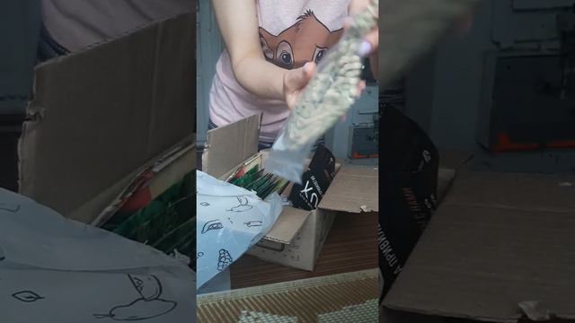 Распаковка заказа от Агромаркет.Саженцы клубники,семена овощей и зелени. смотреть онлайн