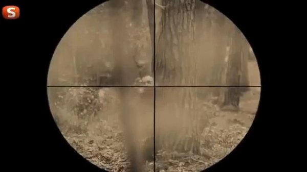 Садокат куштани ориф