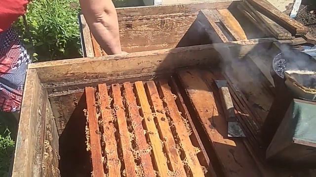 Наша пасека. Весенняя пересадка пчёл. смотреть онлайн