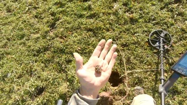 Battlefield Relics, Giant Puff Ball and Deer Rubs. смотреть онлайн