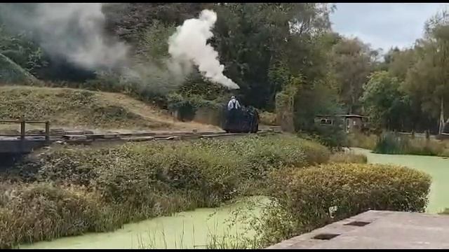 The Coalbrookdale Locomotive Richard Trevithick
