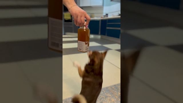 А у меня самая красивая попа! смотреть онлайн