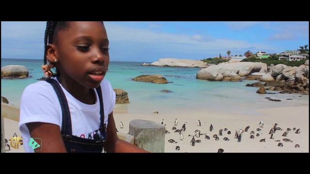 Penguin, Boulders Beach. Home of African Penguin. With Word Angel, South Africa. смотреть онлайн
