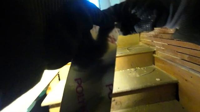 ✅ ПОДРОБНАЯ УСТАНОВКА HVAC-СИСТЕМЫ Ч.1 / РАБОТА ТЕХНИКОВ В САН-ХОСЕ смотреть онлайн