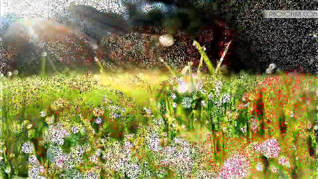 Колхозная минусовка с видео смотреть онлайн