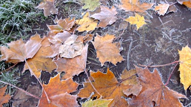 Зима близко, или как я впервые увидела иней осенью ( это правда:) смотреть онлайн