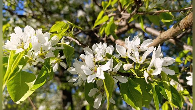 Углич май 2024 смотреть онлайн