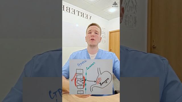 Болит желудок на фоне стресса? Всегда ли ОН? | Доктор Финагин смотреть онлайн