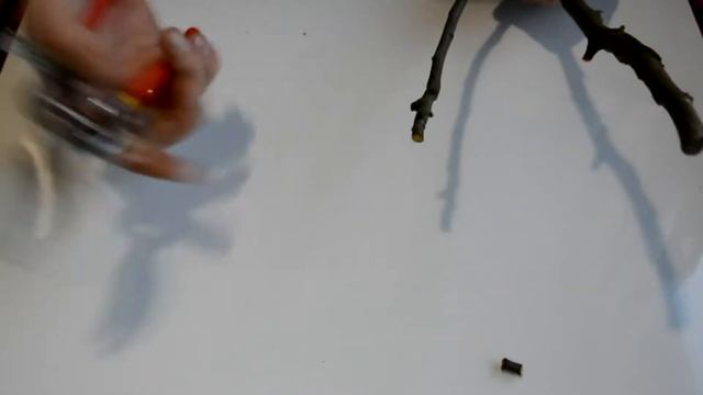 Обзор секатора ЗУБР смотреть онлайн