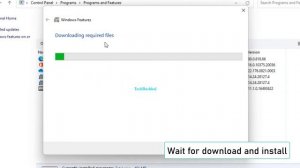 .Net Framework 3.5 Error 0x80070422 Or Error 0x800f081f In Windows 10   - 2 Fix How To