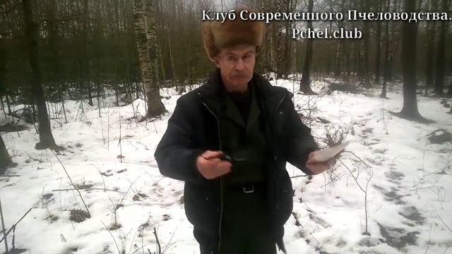 Земельный кодекс РФ. Получить землю под пасеку. смотреть онлайн