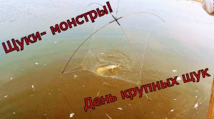 Рыбалка на паук! День крупных щук!!! Первая рыбалка по открытой воде! Адреналин зашкаливает!