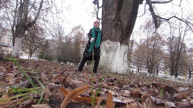 12.12.2019. Верши Судьбу, сам - Человек. Выбор - есть всегда. смотреть онлайн