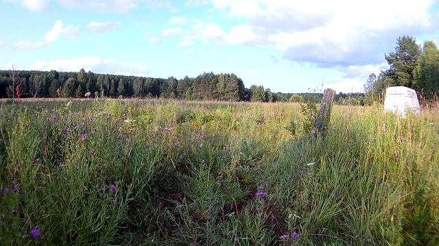 Поездка в деревню за металом металлолом смотреть онлайн