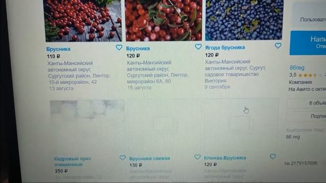 Сбор брусники как способ получения дохода смотреть онлайн