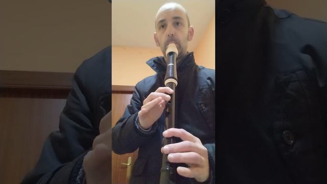 Flauta Tenor Aulos / Tenor Recorder Aulos.