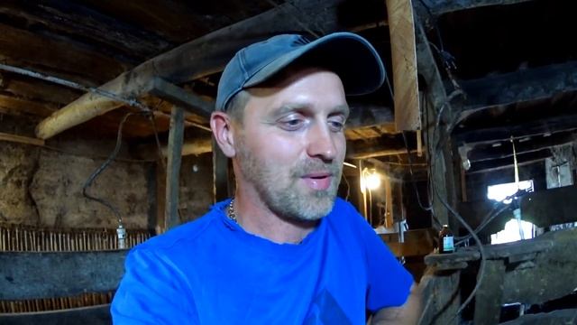 Почему я выбрал для разведения породу пьетрен / Эксперимент продолжается смотреть онлайн