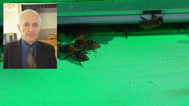 Профессор Кашковский о мерах до Главного Взятка и после