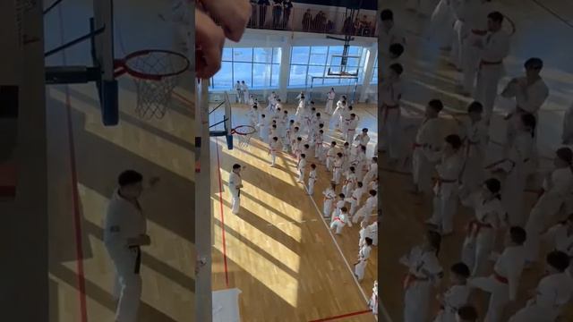Кихон. Аттестация Эншин каратэ. смотреть онлайн
