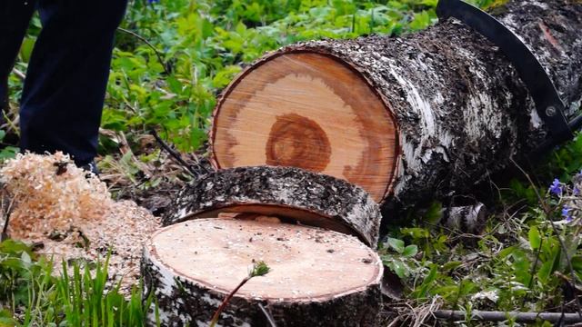 Champion 256-18, цепь Stihl Rapid Super смотреть онлайн